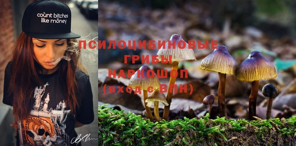 mdma Вяземский